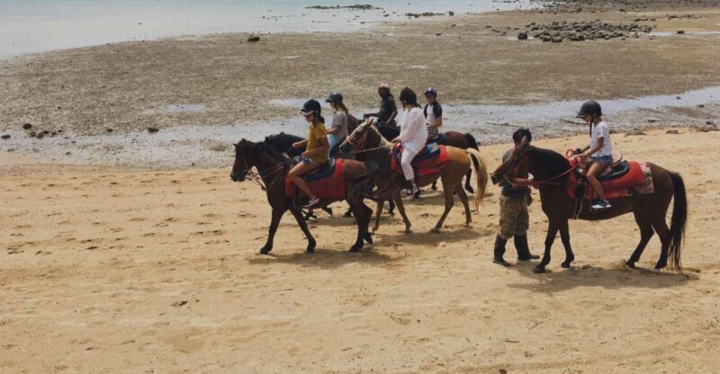 Krabi: Horseback Riding on the Beach - Authentic Insights from Reviews