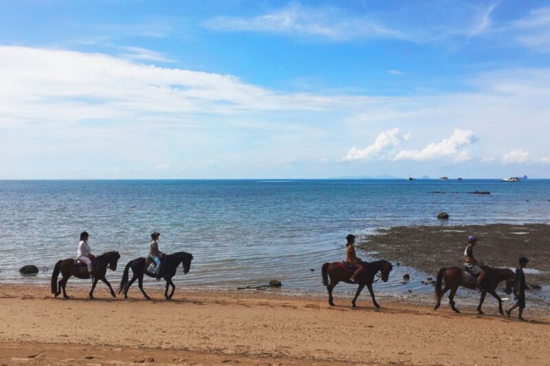 Krabi: Horseback Riding on the Beach - Who Will Love This Tour