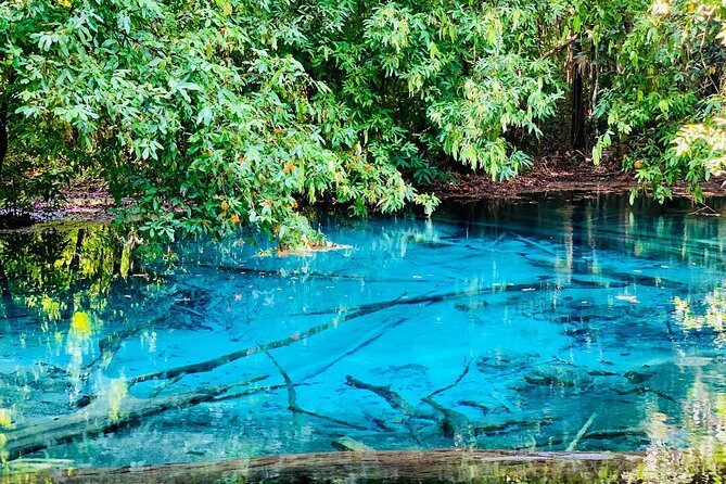 Krabi Jungle Tour with Emerald Pool, Hot Springs & Tiger Cave - The Sum Up: Is This Tour for You?