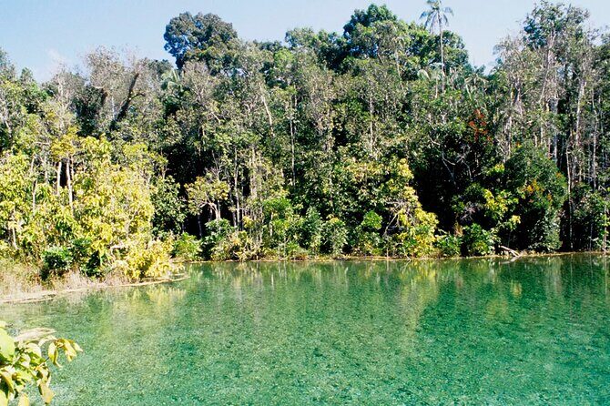 Krabi Jungle Tour:Hot Spring Waterfall,Emerald Pool & Tiger Cave - In-Depth Review of the Krabi Jungle Tour