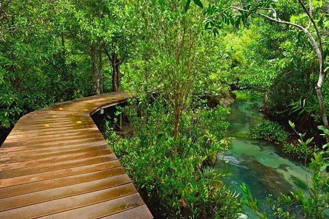 Krabi Jungle Tour:Krabi Hot Springs Waterfall,Emerald Pool and Tiger Cave Temple - Who Should Consider This Tour?