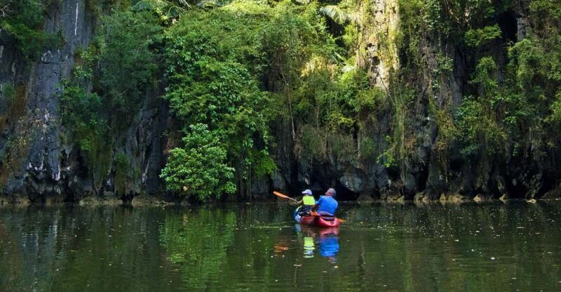krabi-kayak-adventure-through-ao-thalane-mangrove-forest