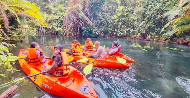 Krabi Kayaking and Swimming Clongrood Tour - Tour Inclusions