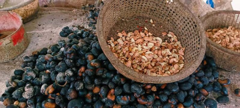 Krabi: Kayaking, Bat Cave, and Hot Springs Day Tour - Key Points