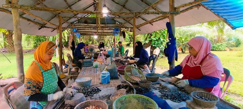 Krabi: Kayaking, Bat Cave, and Hot Springs Day Tour - Transportation, Duration, and Practical Tips