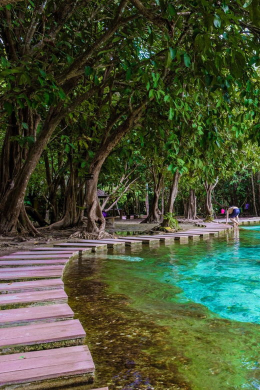 krabi-kayaking-crystal-lagoon-and-fish-spa-in-klong-root