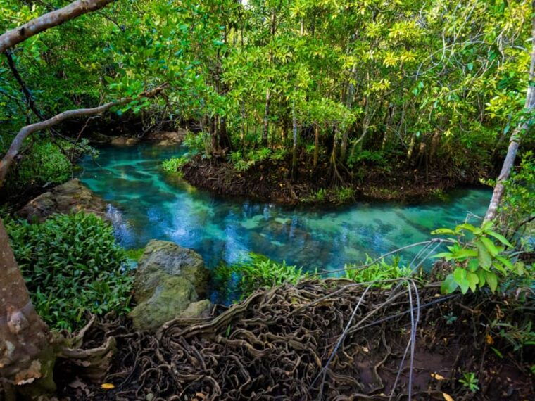 krabi-kayaking-crystal-lagoon-and-fish-spa-in-klong-root