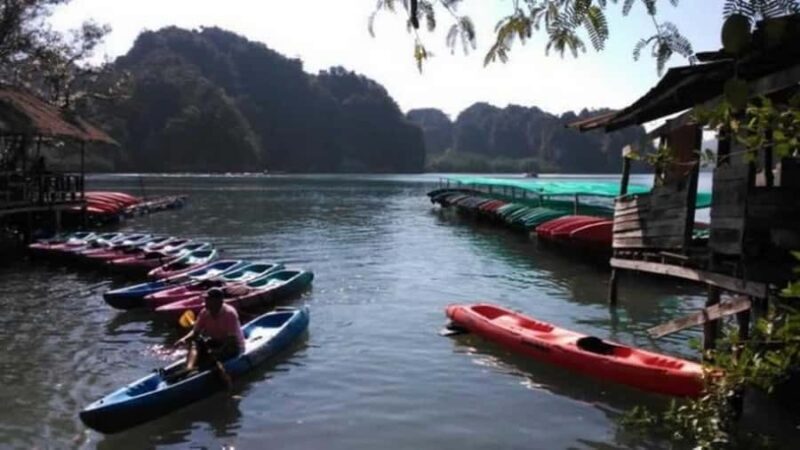 Krabi: Kayaking in Ao Thalane Bay Beautiful Mangrove Forest - An In-Depth Look at the Tour