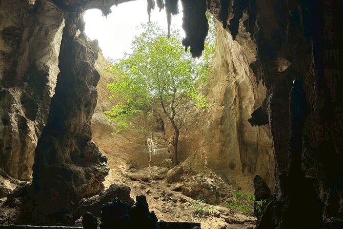 Krabi Khao Khanab Nam Jurassic World Tour with Mangroves - How This Tour Rewards Its Participants