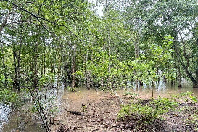 Krabi Khao Khanab Nam Jurassic World Tour with Mangroves - FAQ