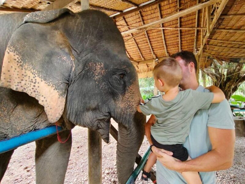 krabi-khao-sok-elephant-rescue-center-bamboo-raft-paddle