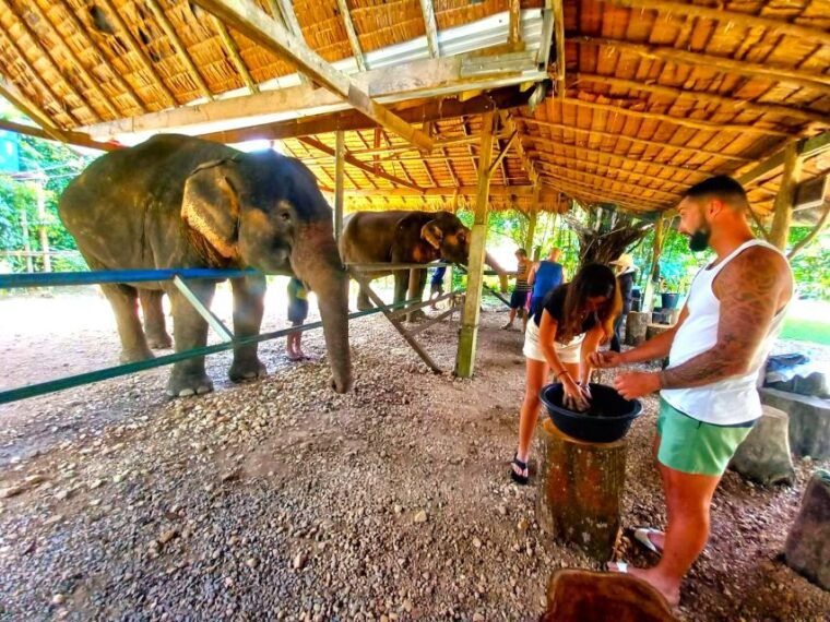 krabi-khao-sok-elephant-rescue-center-bamboo-raft-paddle