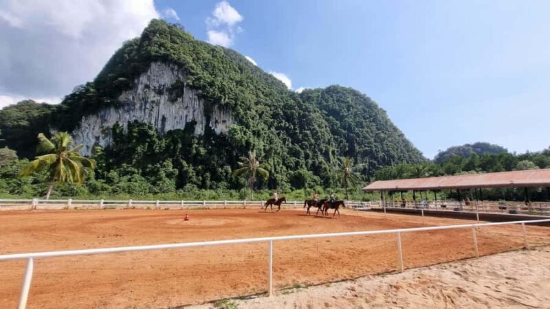 Krabi: Khao Thong Trail Horseback Riding Adventure - Key Points