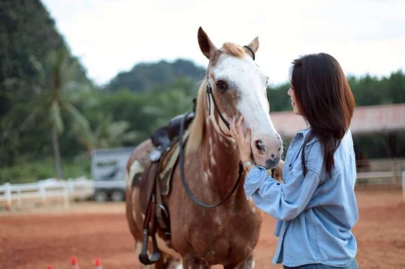 Krabi: Khao Thong Trail Horseback Riding Adventure - Practical Details & Tips