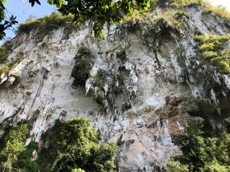 krabi-khaosok-jungle-walk-bamboo-rafting-or-canoeing-tour