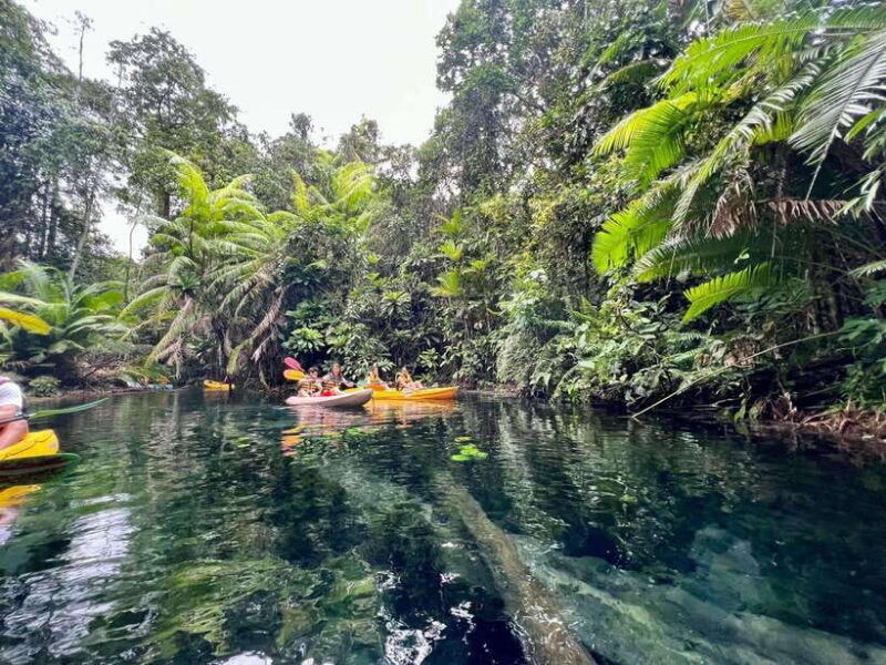 krabi-klong-root-crystal-lake-kayaking-tour