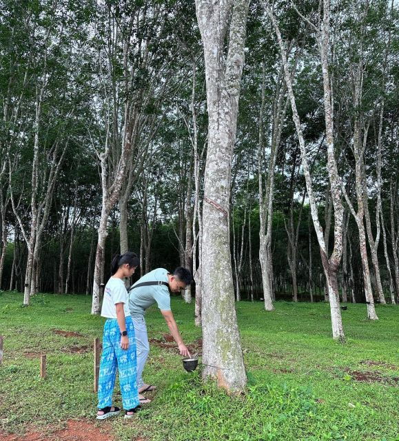 krabi-klong-root-kayaking-viewpointfish-feeding-and-more