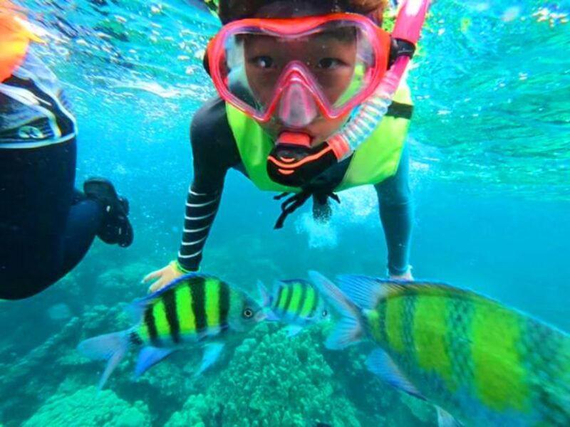 krabi-koh-rok-koh-haa-hidden-snorkeling-tour-by-speedboat