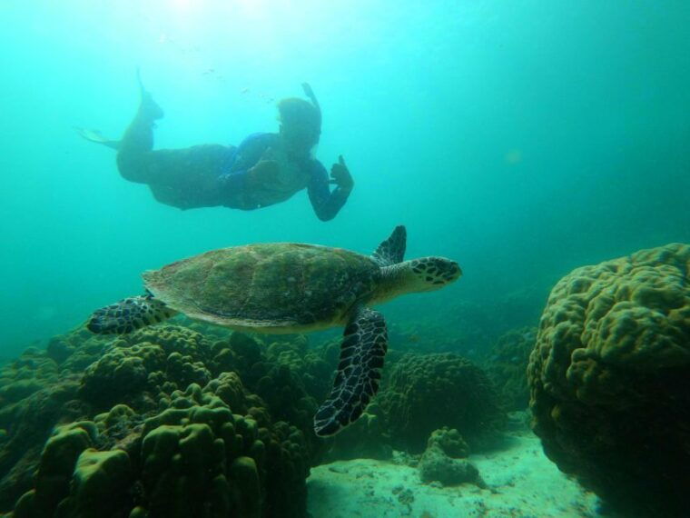 krabi-koh-rok-koh-haa-hidden-snorkeling-tour-by-speedboat