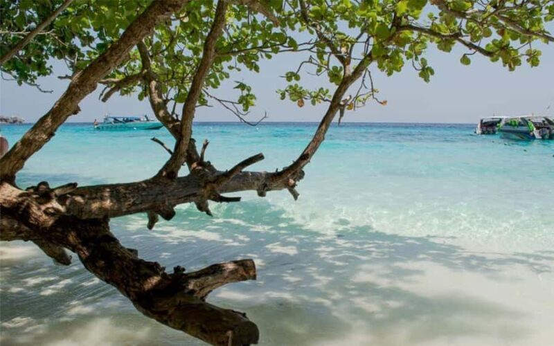 Krabi: Lazy Similan Islands Tour by Speedboat & Buffet Lunch - An In-Depth Look at the Similan Islands Lazy Tour