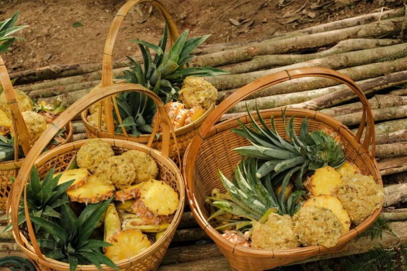 Krabi: Love Elephant Sanctuary Tour - FAQ