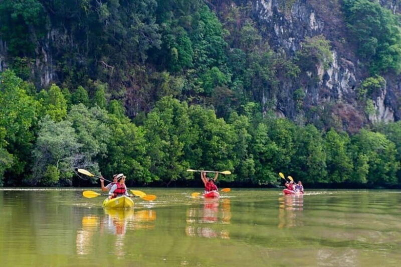 Krabi: Mangrove Kayak Adventure in Boh Tor, Ao Luek - Why This Tour Is Worth Considering