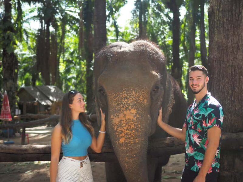 Krabi Mangrove Kayak &Elephant Shelter with Private Transfer - Practical Details and Considerations