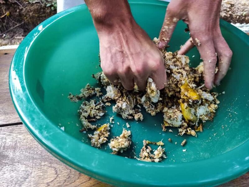 Krabi Mangrove Kayak &Elephant Shelter with Private Transfer - FAQ