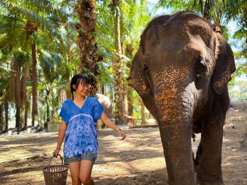 Krabi Mangrove Kayak &Elephant Shelter with Private Transfer - Final Thoughts