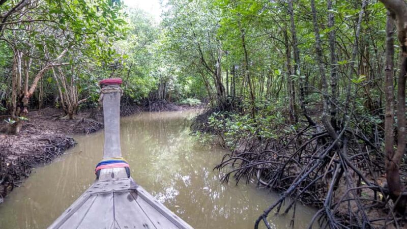 Krabi: Mangrove Magic & Koh Klang Charm by Longtail Boat - Key Points