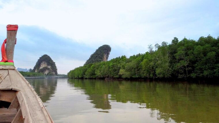 krabi-mangrove-magic-koh-klang-charm-by-longtail-boat