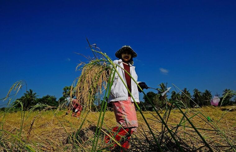 krabi-mangrove-magic-koh-klang-charm-by-longtail-boat