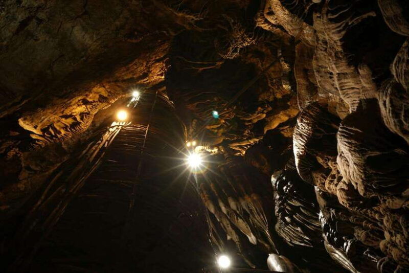 krabi-mangroves-and-khao-kanab-nam-cave-tour-with-lunch