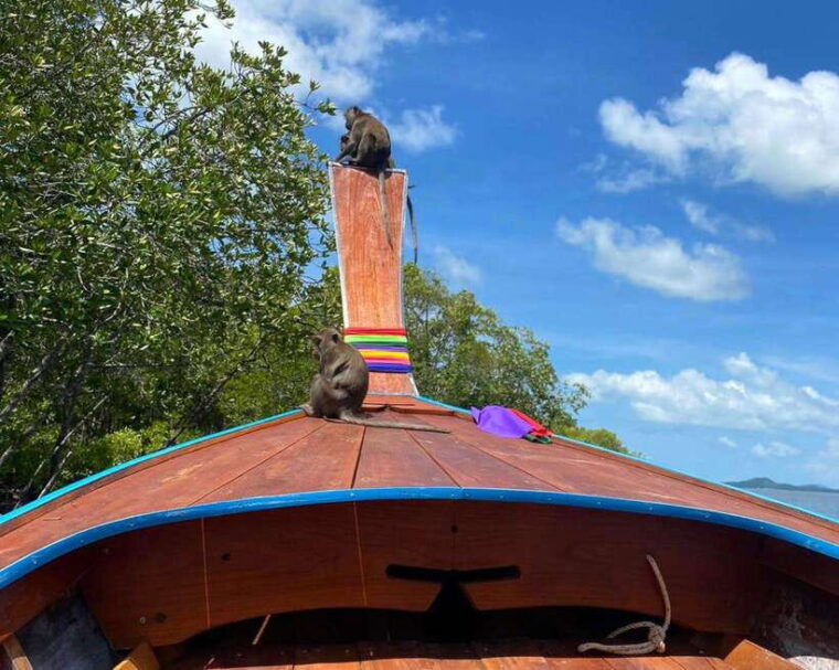 krabi-mangroves-and-khao-kanab-nam-cave-tour-with-lunch