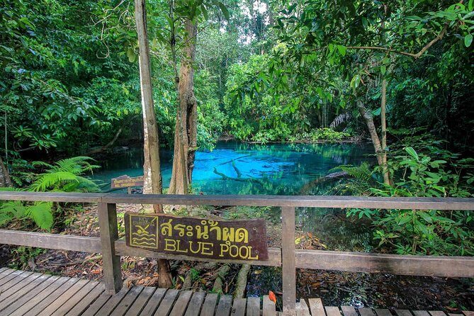 Krabi Outback Explorer to Emerald Pool, Wareerak Hotspring and Beyond - Authentic Experiences and Insights from Travelers