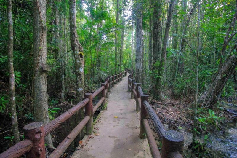 krabi-outback-explorer-with-visit-of-tiger-cave-temple