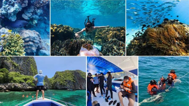 Krabi: Phi Phi Islands Full-Day Private Speedboat Charter - Final Thoughts