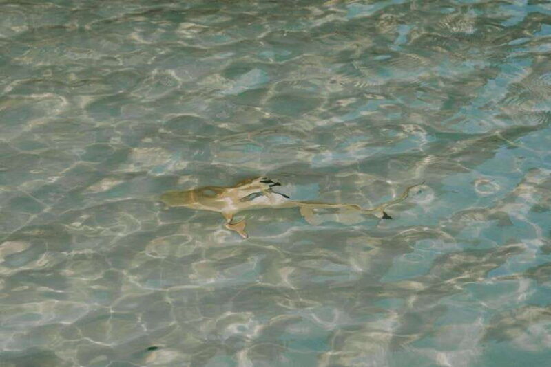 krabi-phi-phi-islands-longtail-boat-tour-with-sunset