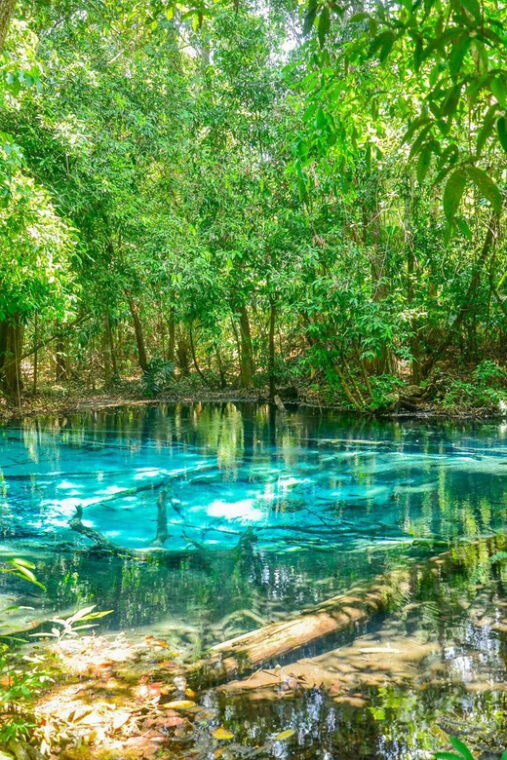 krabi-private-escape-emerald-pool-hot-springs-tiger-cave