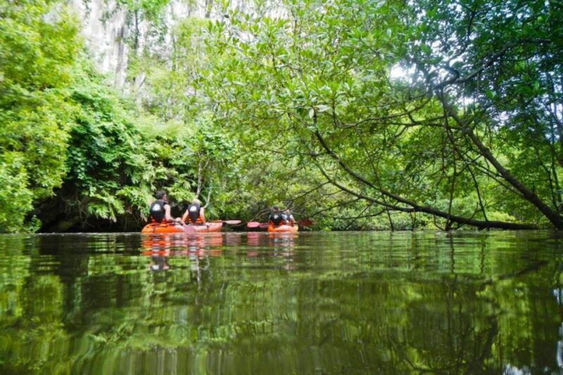 krabi-private-sea-kayaking-in-ao-thalane-and-hong-island