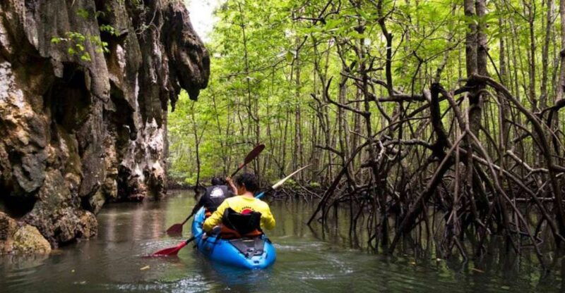 krabi-private-sea-kayaking-in-ao-thalane-and-hong-island