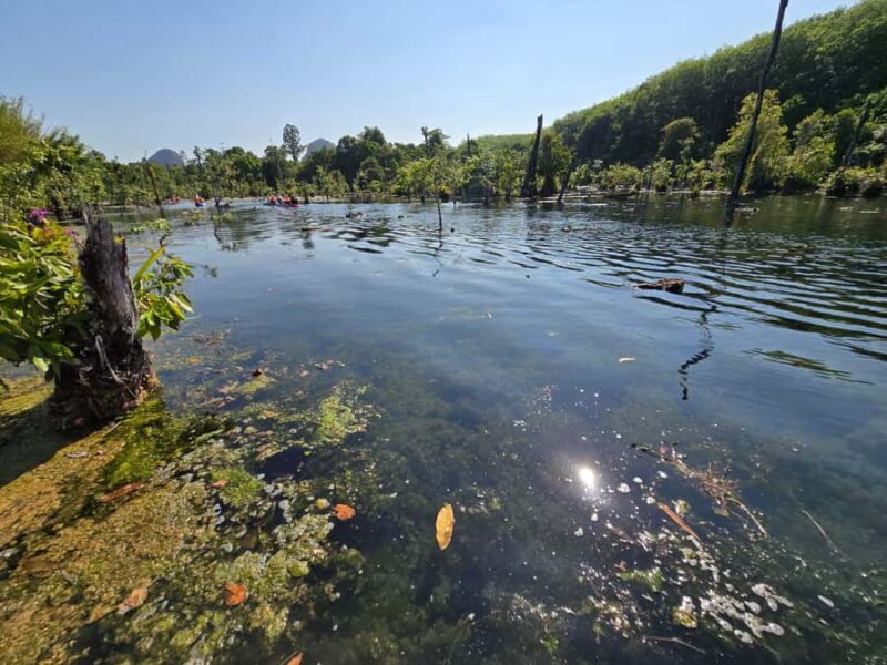 Krabi Quad: Paddle, Batik Print, Rubber Tapping & Pine Farm - The Sum Up