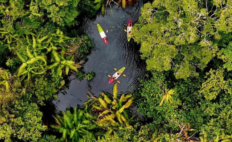 Krabi Quad: Paddle, Eco Printing, Rubber Tapping & Pine Farm - Key Points