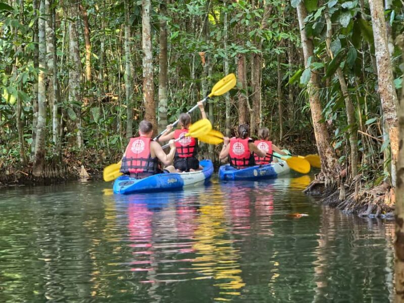 Krabi Quad: Paddle, Eco Printing, Rubber Tapping & Pine Farm - Who Will Benefit Most?