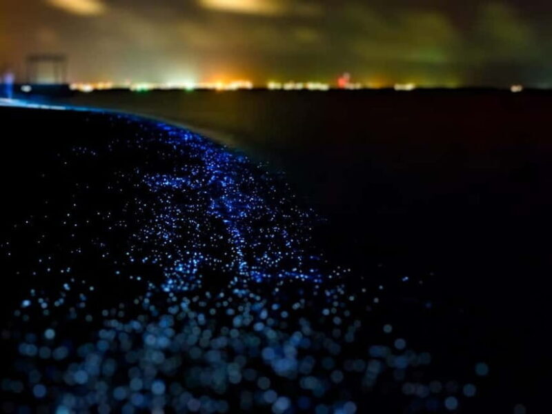 Krabi: Railay Phra Nang & Diamond Cave Sunset Plankton Tour - Key Points