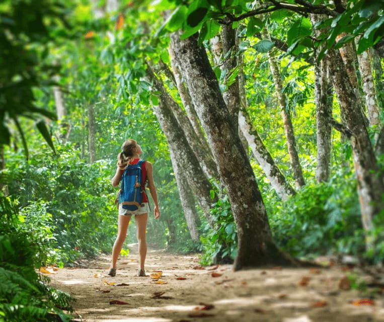 krabi-rainforest-jungle-tour-with-emerald-pool-hot-spring