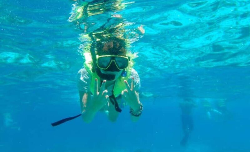 Krabi: Similan Islands Day Trip by Speedboat & Buffet Lunch - The Itinerary Breakdown: What Makes Each Stop Special