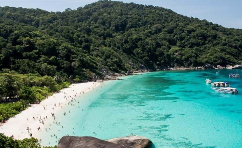 Krabi: Similan Islands Day Trip by Speedboat & Buffet Lunch - Who Should Consider This Tour?