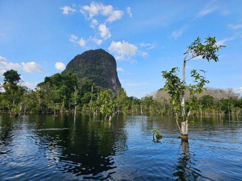 krabi-south-kayak-klong-root-kayaking-tour