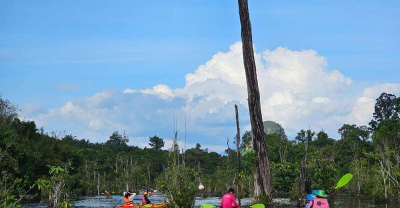 krabi-south-kayak-klong-root-kayaking-tour